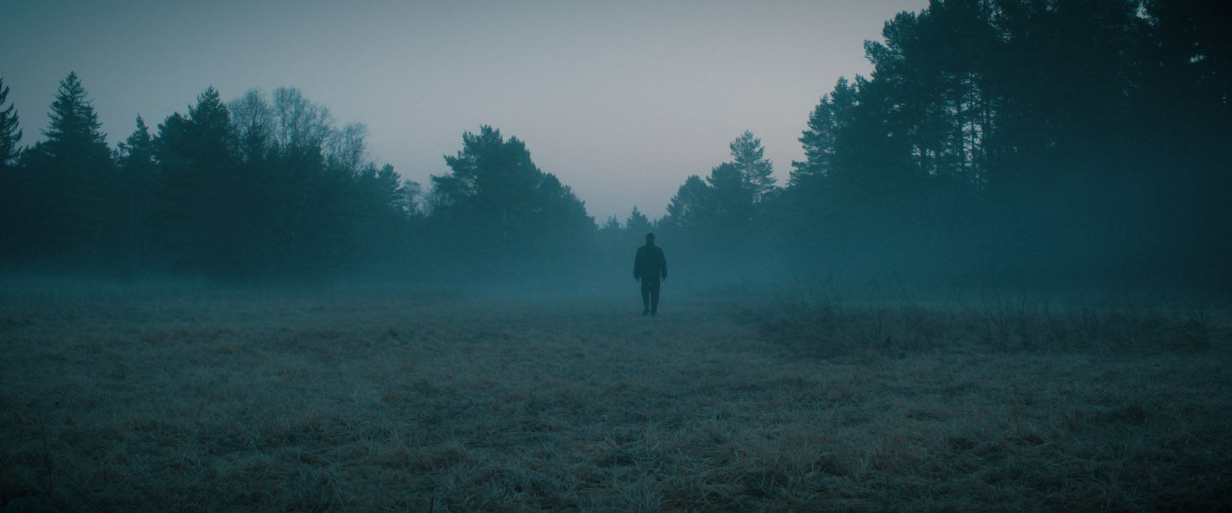 Nebel errdeka auf weitem Feld im Wald Musikvideo zum Lied Rosengarten
