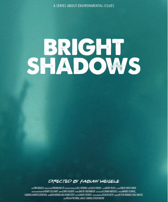 Bright Shadows